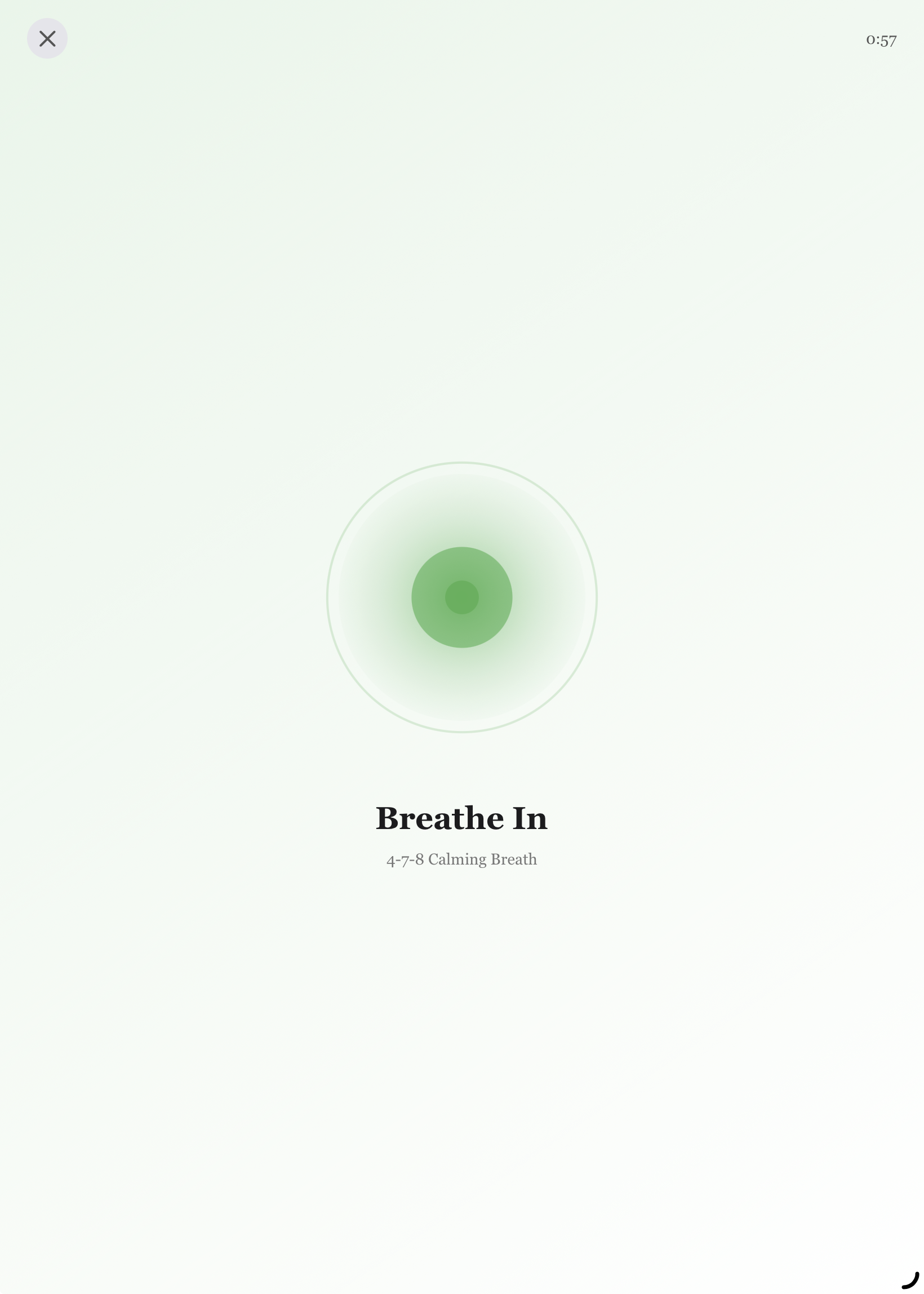 Mindful Breathing